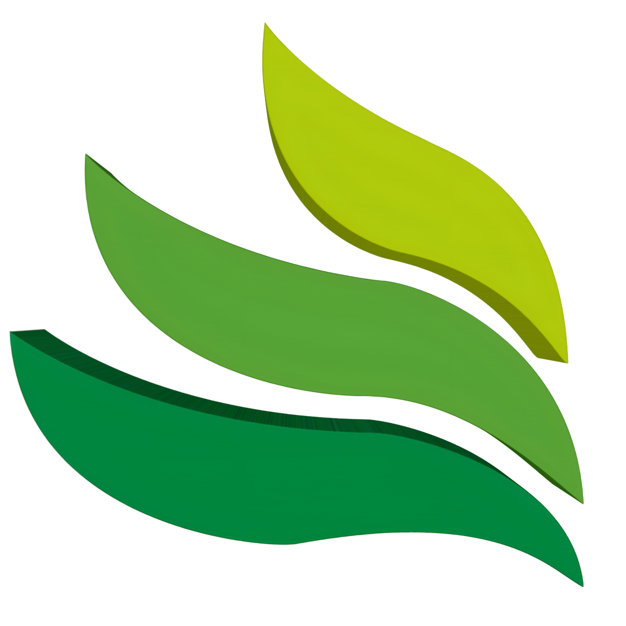 Wise Trade Logo